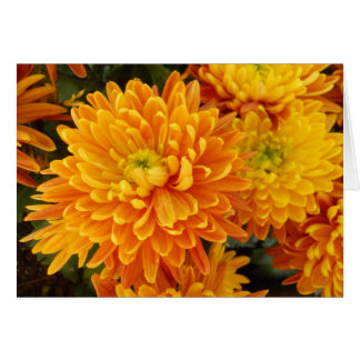 Longwoodの庭の花