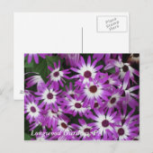 Longwoodの庭、PA ポストカード (正面/裏面)