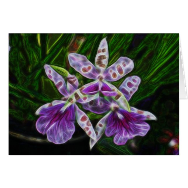 Longwoodの蘭 (正面横)