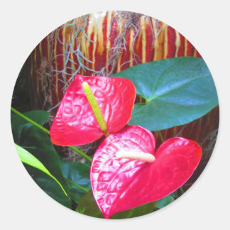 Longwood Gardensの花のフローラ写真 ラウンドシール