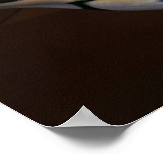 LOOFF回転木馬TIGER 1909 ポスター (角)