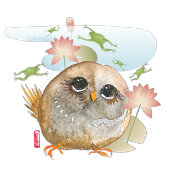 LOOK B4 U LEAP水色バードフクロウのアートカード サンキューカード