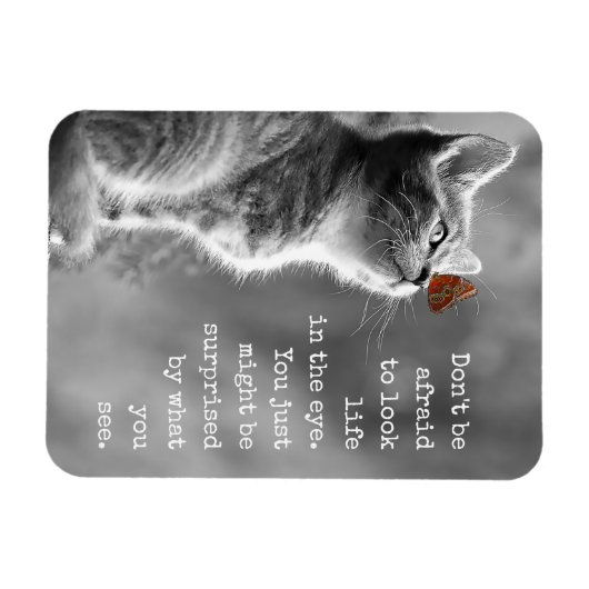 Look Life In the Eye やる気を起こさせる引用文はがき マグネット (横)