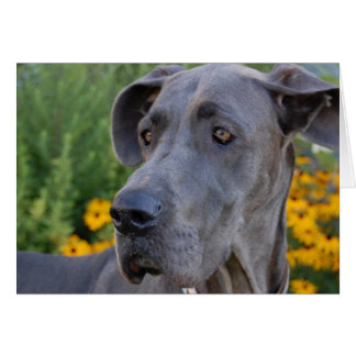 Lookinのかわいらしいカード