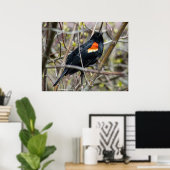 Looking ポスター (ホームオフィス)