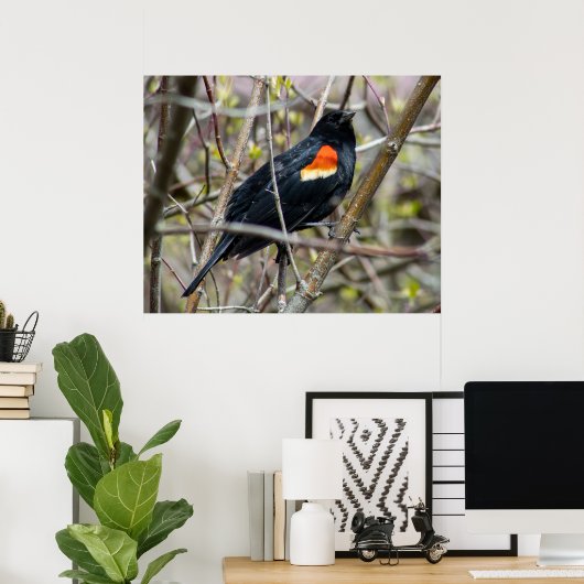 Looking ポスター (ホームオフィス)