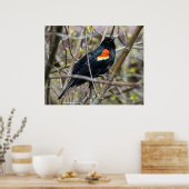 Looking ポスター (キッチン)