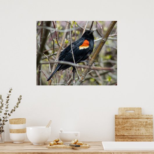 Looking ポスター (キッチン)