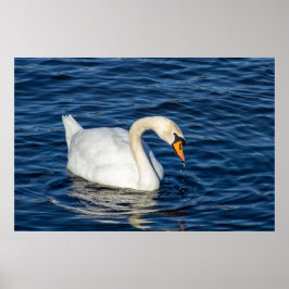 Looking About ポスター