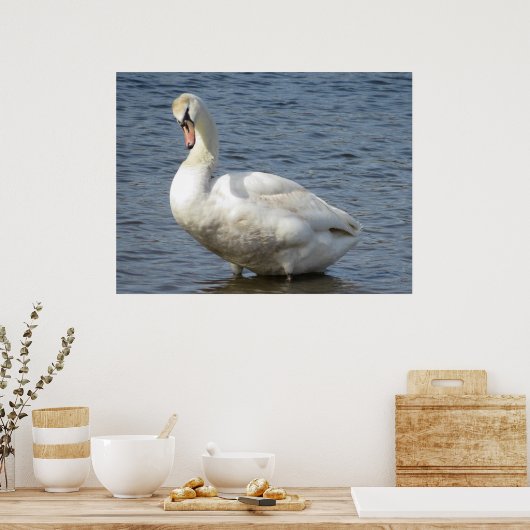 Looking Around ポスター (キッチン)