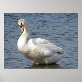 Looking Around ポスター