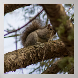 Looking Down ポスター