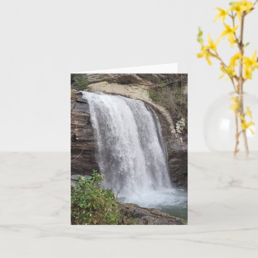 Looking Glass滝カード カード (黄色い花)