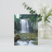 Looking Glass滝 ポストカード (スタンド正面)