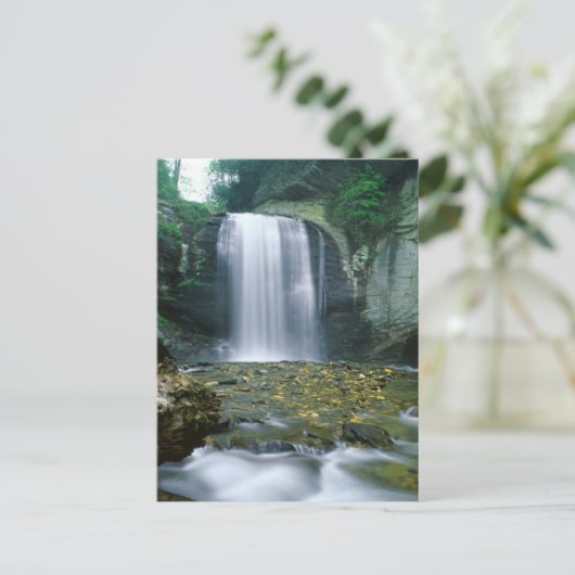 Looking Glass滝 ポストカード (スタンド正面)