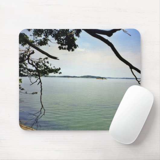 Looking Out Over the River created on マウスパッド (マウス)