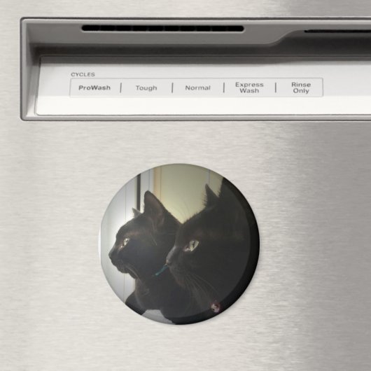 looking out the window マグネット (インサイチュ (食洗機))