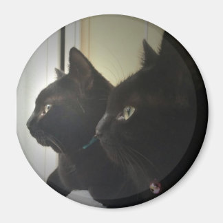 looking out the window マグネット