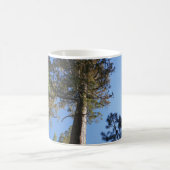 Looking Up at Mariposa Grove コーヒーマグカップ (中央)