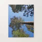 Looking Up at Mariposa Grove ジグソーパズル (縦)