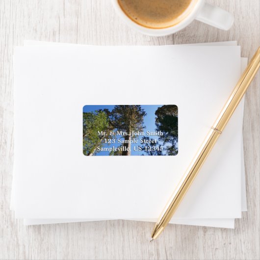 Looking Up at Mariposa Grove ラベル (インサイチュ)