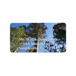 Looking Up at Mariposa Grove ラベル