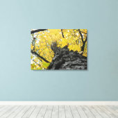 Looking up at Yellow紅葉 キャンバスプリント (インサイチュ (ウッドフロア))