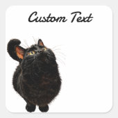 Looking Up Cat -4 | Personalized Custom Text スクエアシール (正面)