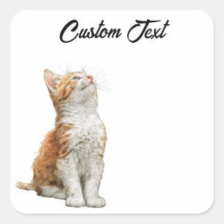 Looking Up Cat | Personalized Custom Text スクエアシール