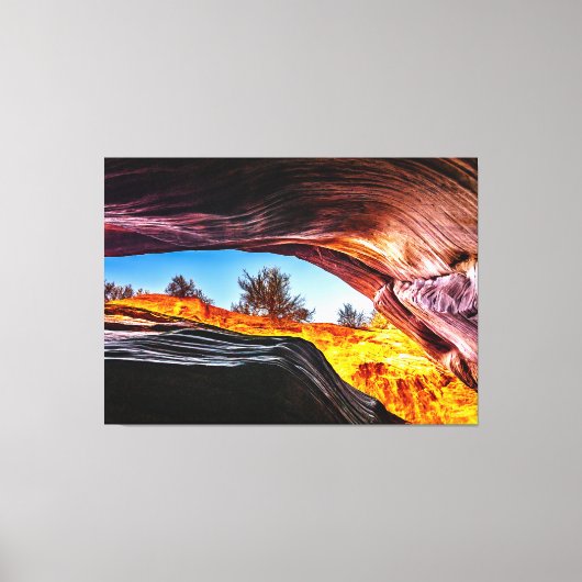 Looking Up in Peekaboo Canyon キャンバスプリント (正面)