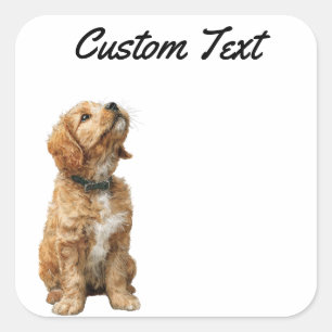 Looking Up Puppy-3 Personalized Custom Text スクエアシール