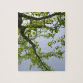 Looking up to 春ポプラツリー ジグソーパズル (縦)