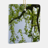 Looking up to 春ポプラツリー セラミックオーナメント (右)