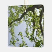 Looking up to 春ポプラツリー セラミックオーナメント (左)