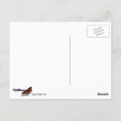 Looking up to 春ポプラツリー ポストカード (裏面)