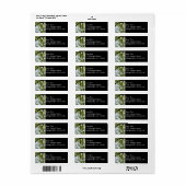 Looking up to 春ポプラツリー ラベル (フルシート)