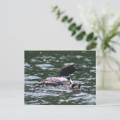 loonと2匹の赤ちゃん ポストカード (スタンド正面)