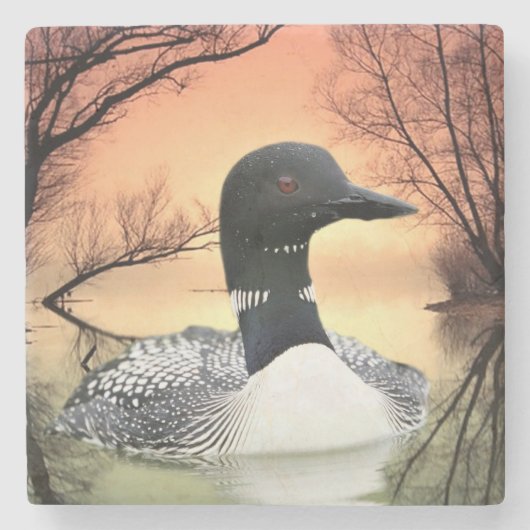 Loon Lake Loon Reflections Call Of The Loon ストーンコースター (正面)