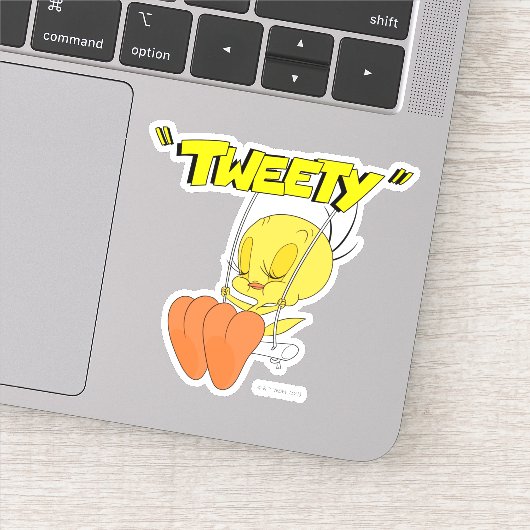 LOONEY TUNES™レトロ | TWEETY™ シール (詳細)