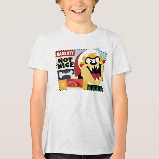 LOONEY TUNES™ TAZ™ いけな Not Nice トライブレンドＴシャツ (正面)
