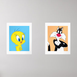 LOONEY TUNES™ TWEETY™ & Sylvester