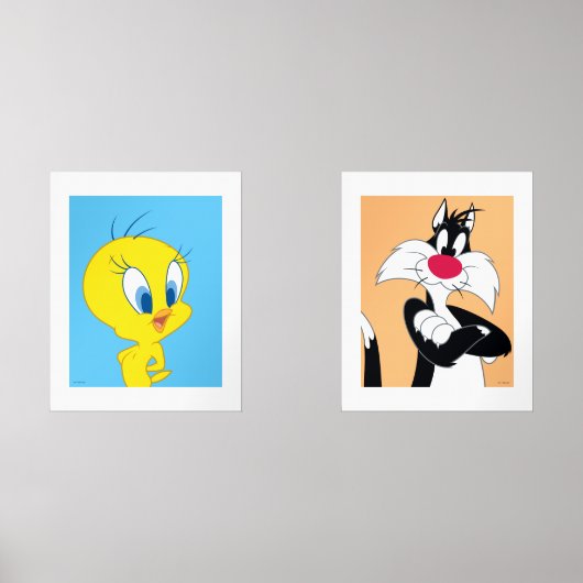 LOONEY TUNES™ TWEETY™ & Sylvester (正面)