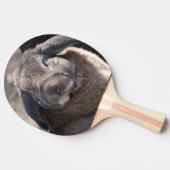 LOPの耳付つきのウサギ 卓球ラケット (横)
