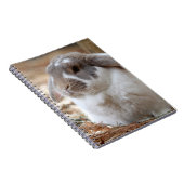 LOP耳付つきのウサギ ノートブック (右側)