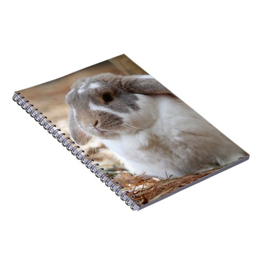 LOP耳付つきのウサギ ノートブック (右側)