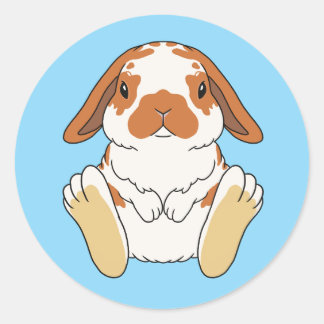 Lop Bunny Sticker Broken Orange ラウンドシール
