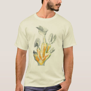 Lophopusのcrystallinus Tシャツ