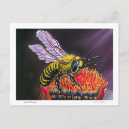 Lord of Honey ポストカード