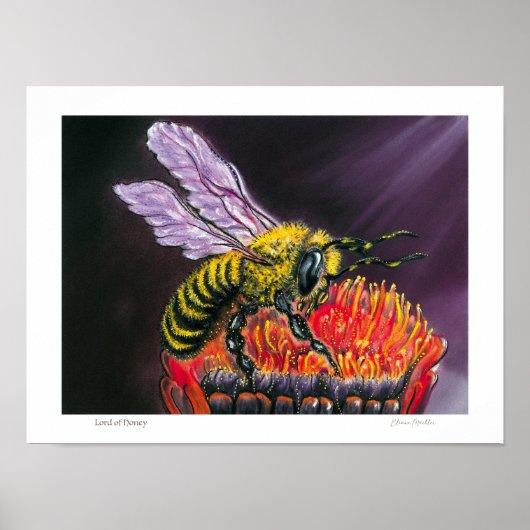 Lord of Honey - Poster ポスター (正面)