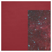 Lord Shiva – ファブリック (見本)